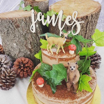 Create Your Own Cake Topper