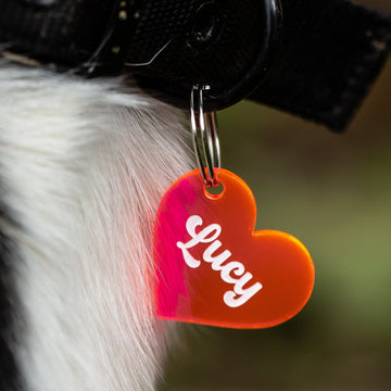 A close-up of a dog’s collar featuring the Personalised Pet Tag, a red heart-shaped acrylic tag engraved with “Lucy,” resting against black and white fur.