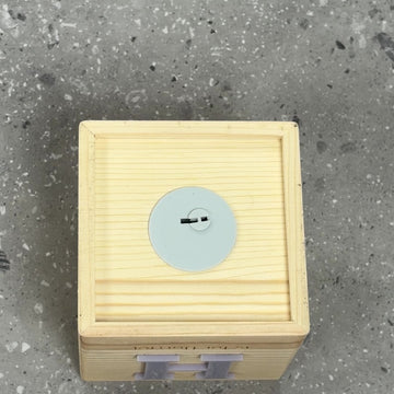 Personalised Wooden Money Box