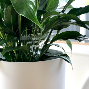 A leafy green plant in a white pot displays a clear acrylic sign reading "Coastlands Preschool Thanks For Helping Us Grow Daily 2020," making it a thoughtful Personalised Teacher Planter gift.