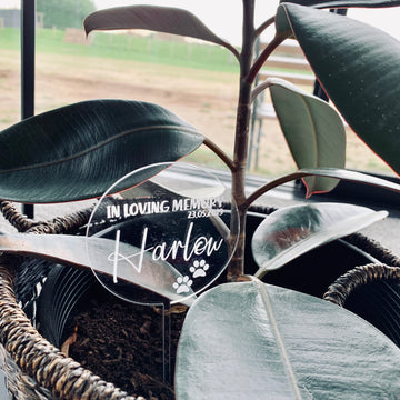 The Pets - In Loving Memory Planter features a plant in a woven basket with a clear circular plaque reading "In loving memory 23.05.2019 Harley" and two paw prints, plus an engraved planter stick, displayed by a window.