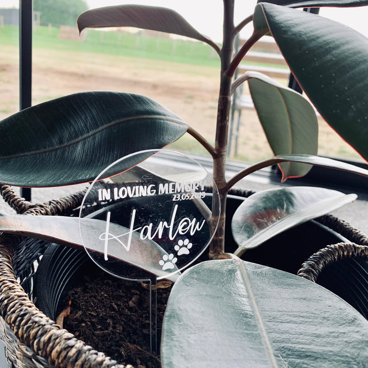 The Pets - In Loving Memory Planter features a plant in a woven basket with a clear circular plaque reading "In loving memory 23.05.2019 Harley" and two paw prints, plus an engraved planter stick, displayed by a window.