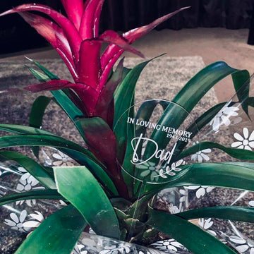 A clear acrylic planter saying In Loving Memory Dad 1943-2019. Sitting in a houseplant. 