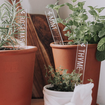 Clear acrylic rectangular planters with rosemary, mint and thyme engraved on them. Each in their respective herb pot.