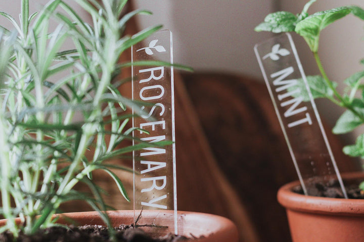 Clear acrylic rectangular planters with rosemary and mint engraved on them. Each in their respective herb pot.